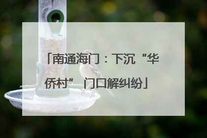 南通海门：下沉“华侨村” 门口解纠纷