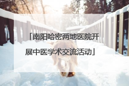 南阳哈密两地医院开展中医学术交流活动