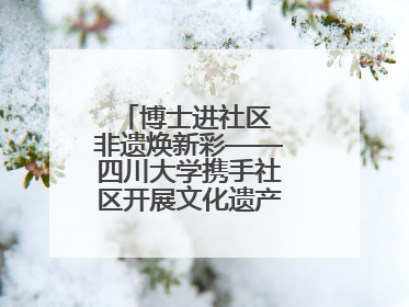 博士进社区 非遗焕新彩——四川大学携手社区开展文化遗产日特别活动