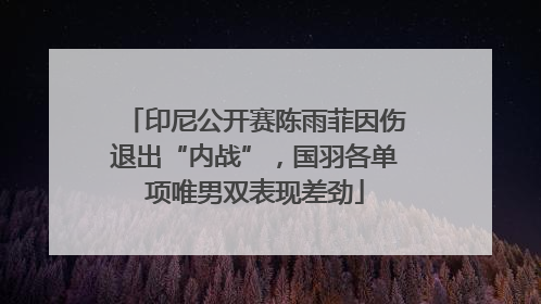 印尼公开赛陈雨菲因伤退出“内战”，国羽各单项唯男双表现差劲