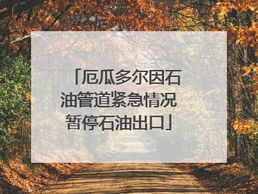 厄瓜多尔因石油管道紧急情况暂停石油出口