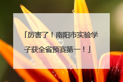 厉害了！南阳市实验学子获全省预赛第一！