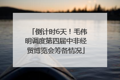 倒计时6天！毛伟明调度第四届中非经贸博览会筹备情况