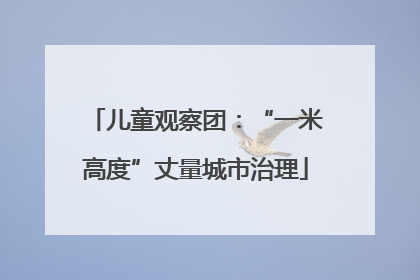 儿童观察团：“一米高度”丈量城市治理