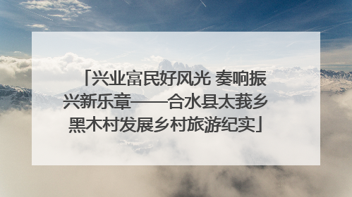 兴业富民好风光 奏响振兴新乐章——合水县太莪乡黑木村发展乡村旅游纪实
