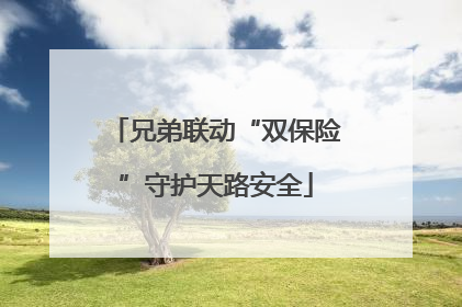 兄弟联动“双保险”守护天路安全