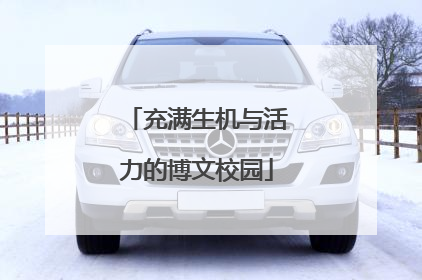 充满生机与活力的博文校园