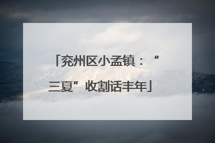 兖州区小孟镇：“三夏”收割话丰年