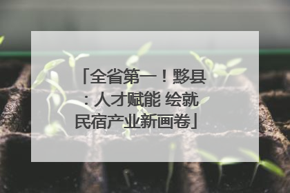 全省第一！黟县：人才赋能 绘就民宿产业新画卷