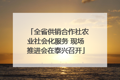 全省供销合作社农业社会化服务 现场推进会在泰兴召开