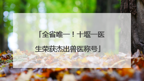 全省唯一！十堰一医生荣获杰出兽医称号