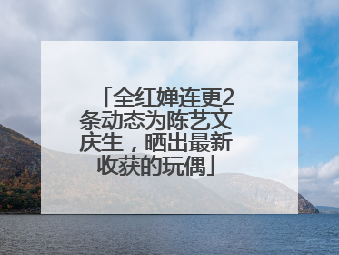全红婵连更2条动态为陈艺文庆生，晒出最新收获的玩偶