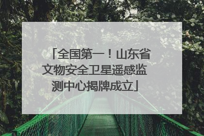 全国第一！山东省文物安全卫星遥感监测中心揭牌成立