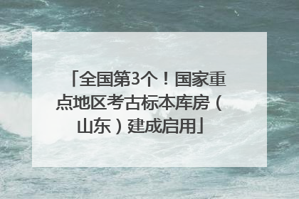 全国第3个！国家重点地区考古标本库房（山东）建成启用