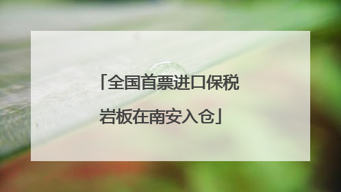 全国首票进口保税岩板在南安入仓