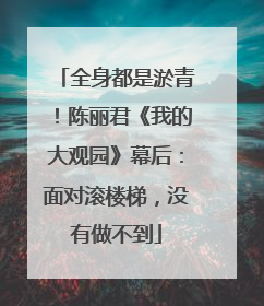 全身都是淤青！陈丽君《我的大观园》幕后：面对滚楼梯，没有做不到