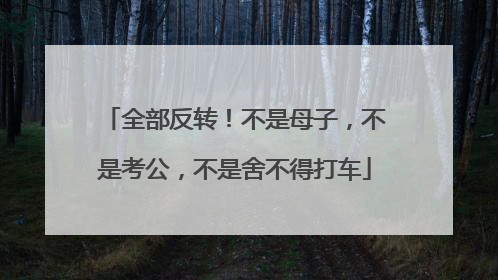 全部反转！不是母子，不是考公，不是舍不得打车