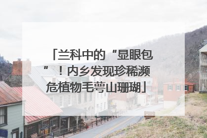 兰科中的“显眼包”！内乡发现珍稀濒危植物毛萼山珊瑚