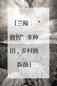 兰陵：“数智”来种田，乡村换新颜
