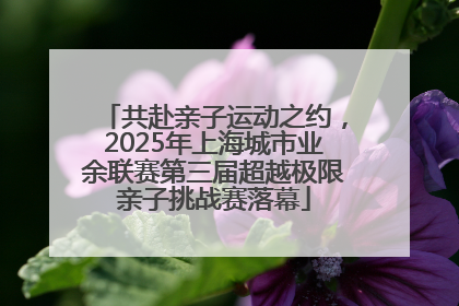 共赴亲子运动之约，2025年上海城市业余联赛第三届超越极限亲子挑战赛落幕