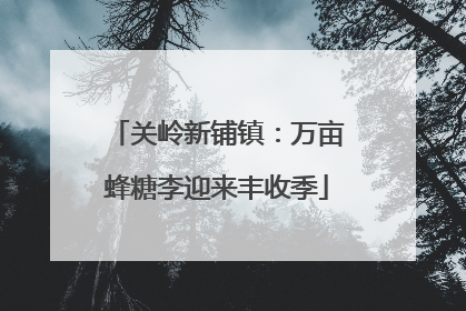 关岭新铺镇：万亩蜂糖李迎来丰收季