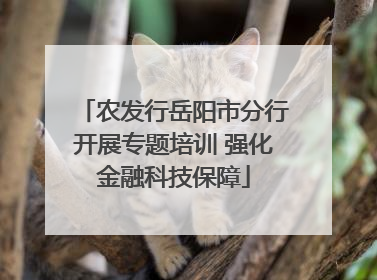 农发行岳阳市分行开展专题培训 强化金融科技保障