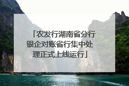 农发行湖南省分行银企对账省行集中处理正式上线运行
