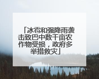 冰雹和强降雨袭击致巴中数千亩农作物受损，政府多举措救灾