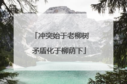 冲突始于老柳树 矛盾化于柳荫下