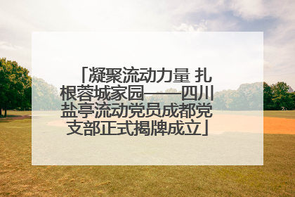 凝聚流动力量 扎根蓉城家园——四川盐亭流动党员成都党支部正式揭牌成立