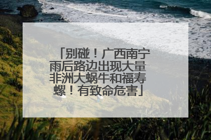 别碰！广西南宁雨后路边出现大量非洲大蜗牛和福寿螺！有致命危害