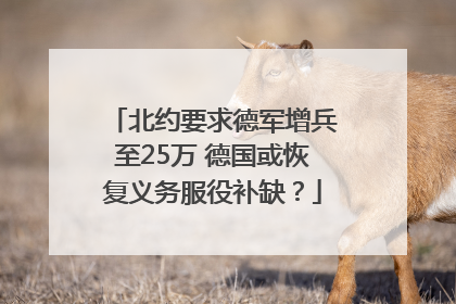 北约要求德军增兵至25万 德国或恢复义务服役补缺？