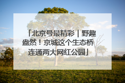 北京号最精彩｜野趣盎然！京城这个生态桥连通两大网红公园