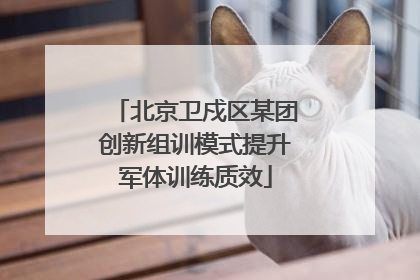 北京卫戍区某团创新组训模式提升军体训练质效