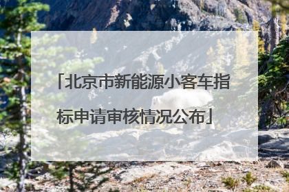 北京市新能源小客车指标申请审核情况公布