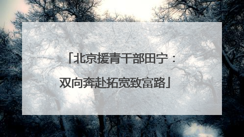 北京援青干部田宁：双向奔赴拓宽致富路