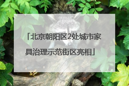 北京朝阳区2处城市家具治理示范街区亮相