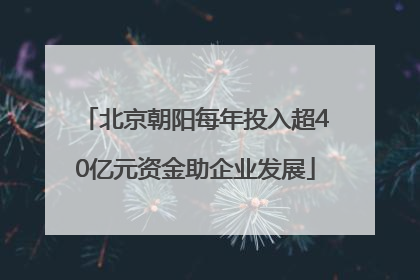 北京朝阳每年投入超40亿元资金助企业发展