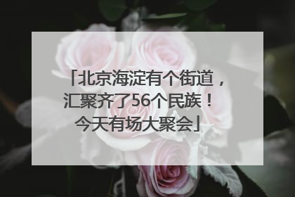 北京海淀有个街道，汇聚齐了56个民族！今天有场大聚会