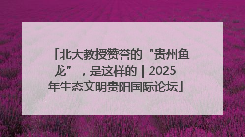 北大教授赞誉的“贵州鱼龙”，是这样的｜2025年生态文明贵阳国际论坛