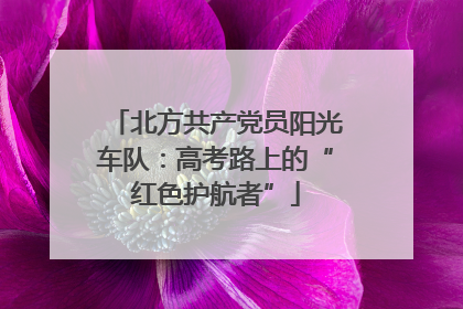 北方共产党员阳光车队：高考路上的“红色护航者”