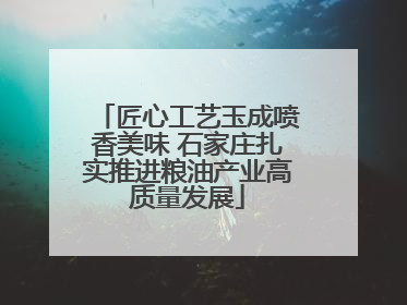 匠心工艺玉成喷香美味 石家庄扎实推进粮油产业高质量发展