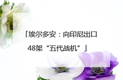 埃尔多安：向印尼出口48架“五代战机”
