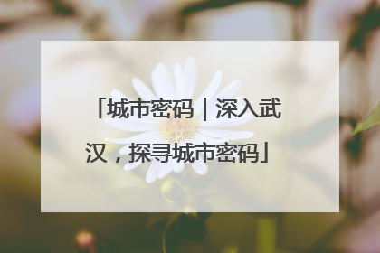 城市密码｜深入武汉，探寻城市密码