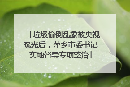 垃圾偷倒乱象被央视曝光后，萍乡市委书记实地督导专项整治