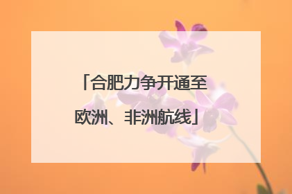合肥力争开通至欧洲、非洲航线
