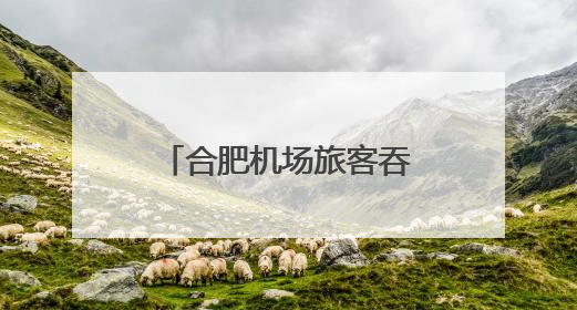 合肥机场旅客吞吐量同比增幅位居全国第一方阵