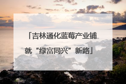 吉林通化蓝莓产业铺就“绿富同兴”新路