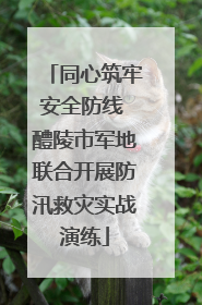 同心筑牢安全防线 醴陵市军地联合开展防汛救灾实战演练
