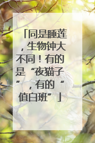 同是睡莲，生物钟大不同！有的是“夜猫子”，有的“值白班”